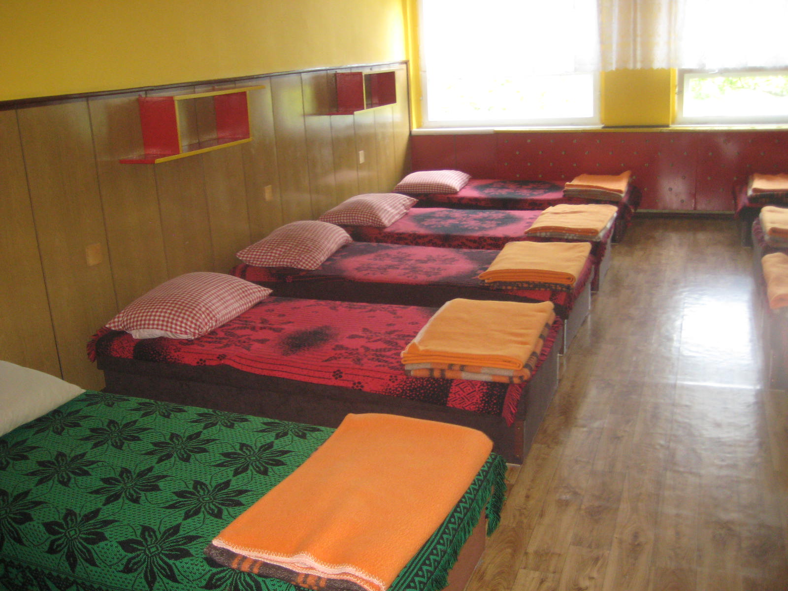 schronisko w Gnieźnie - Rafał Muniak