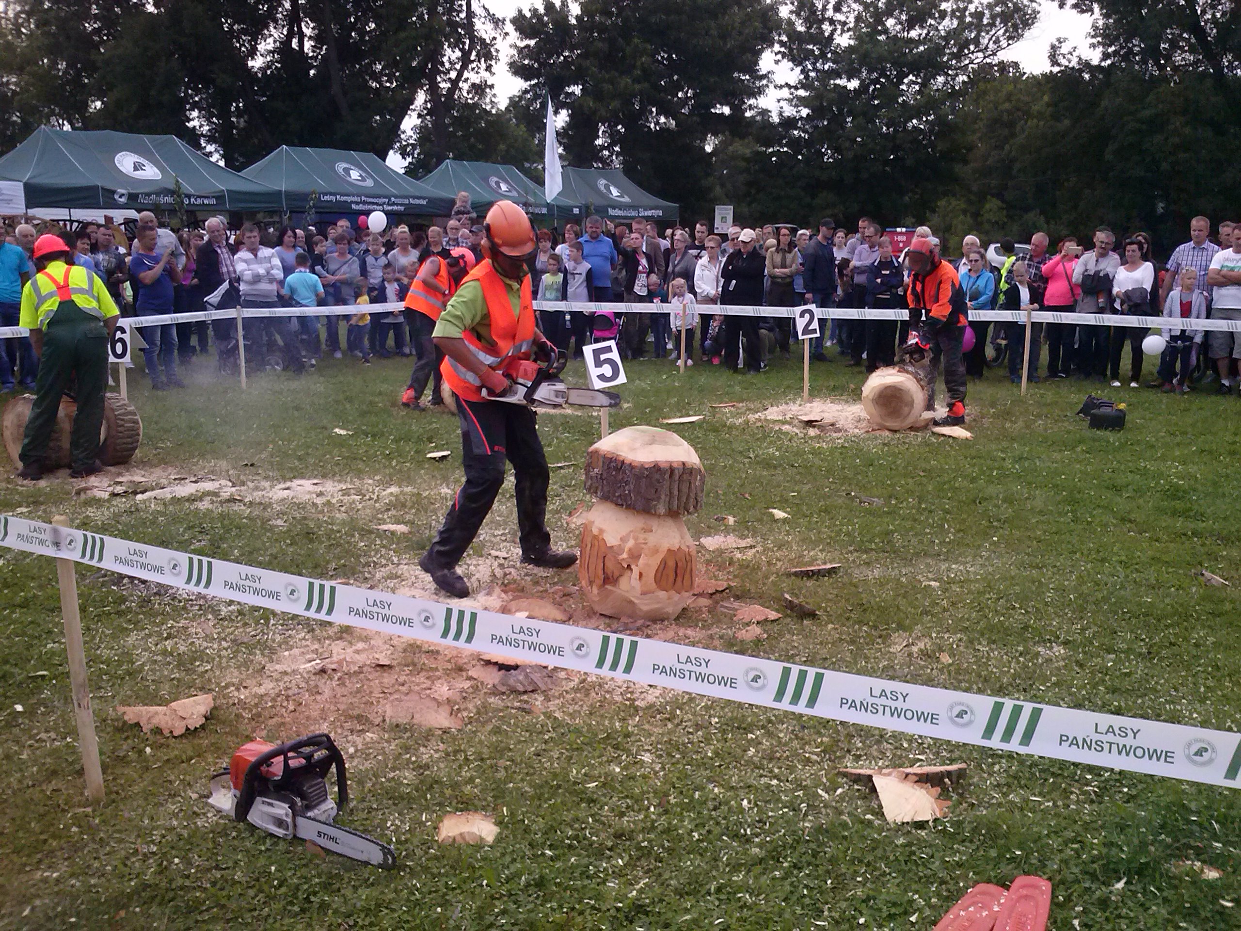 święto podgrzybka - Andrzej Ciborski