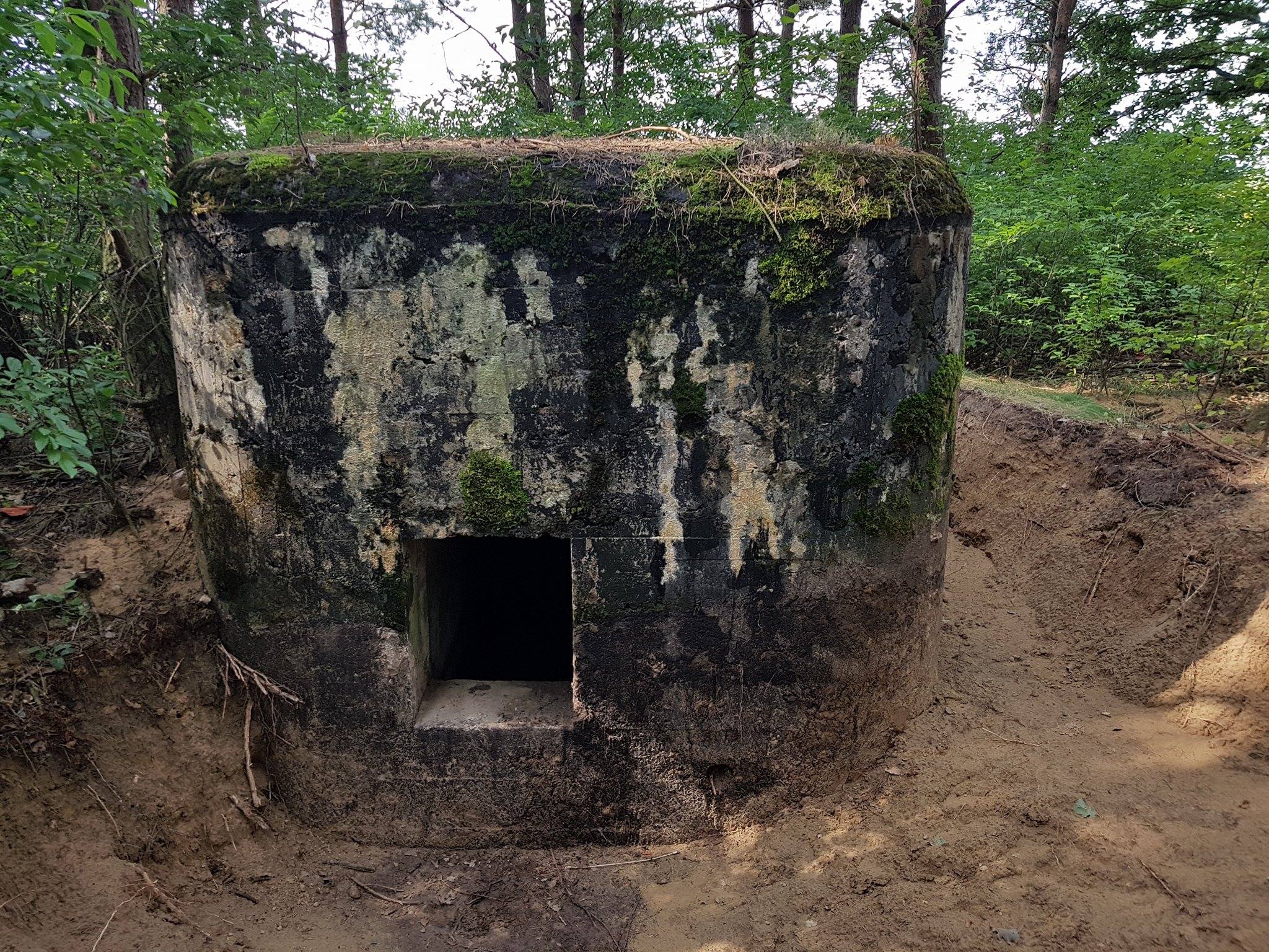 schron kamionki - Iwona Krzyżak