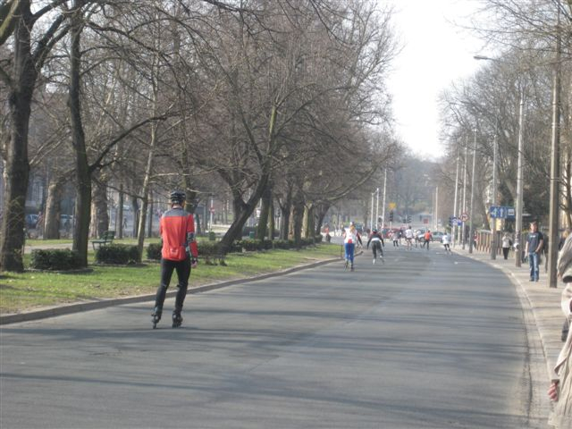 Aleksandra Włodarczyk