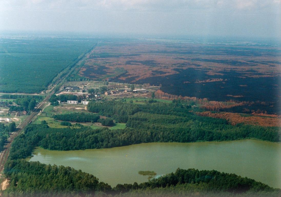 puszcza notecka po pożarze 1992 - Lasy Państwowe