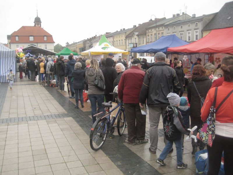 kolejka baterie kórnik - Rafał Regulski
