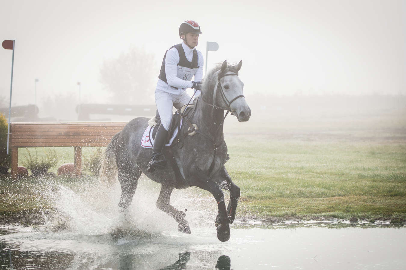 paweł spisak wkkw - KASKAL - Festiwal Jeździecki Baborówko