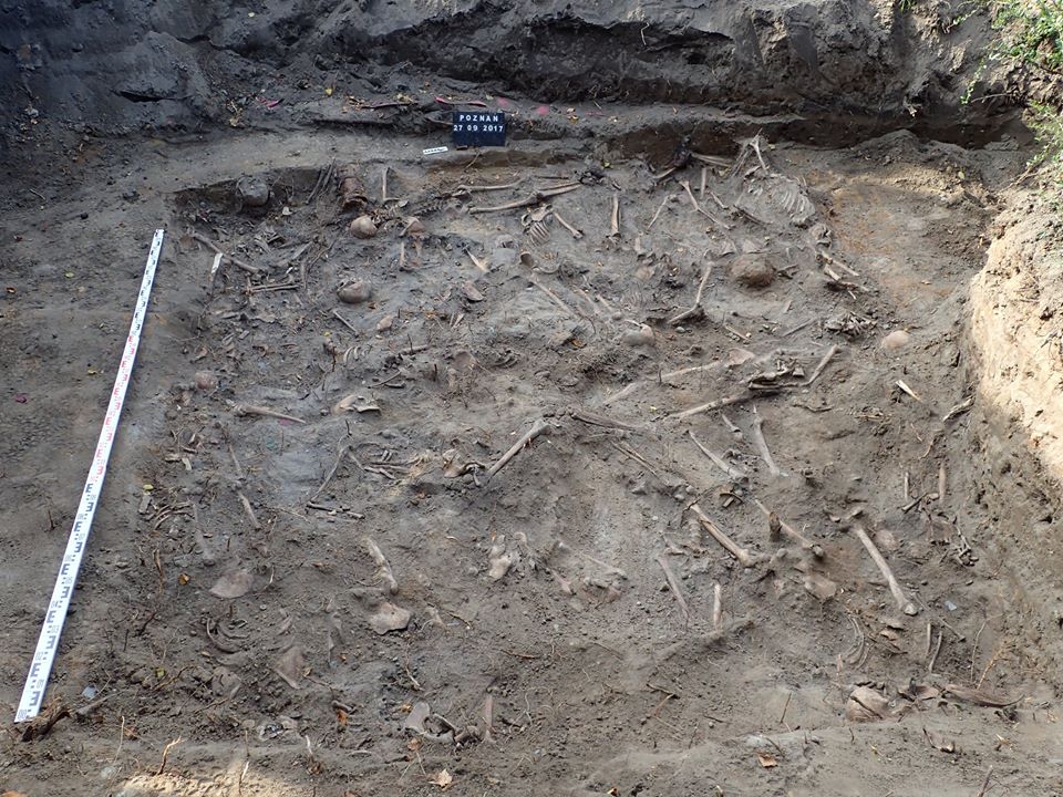 wykopaliska szczątki szkielety - Stowarzyszenie Pomost Facebook