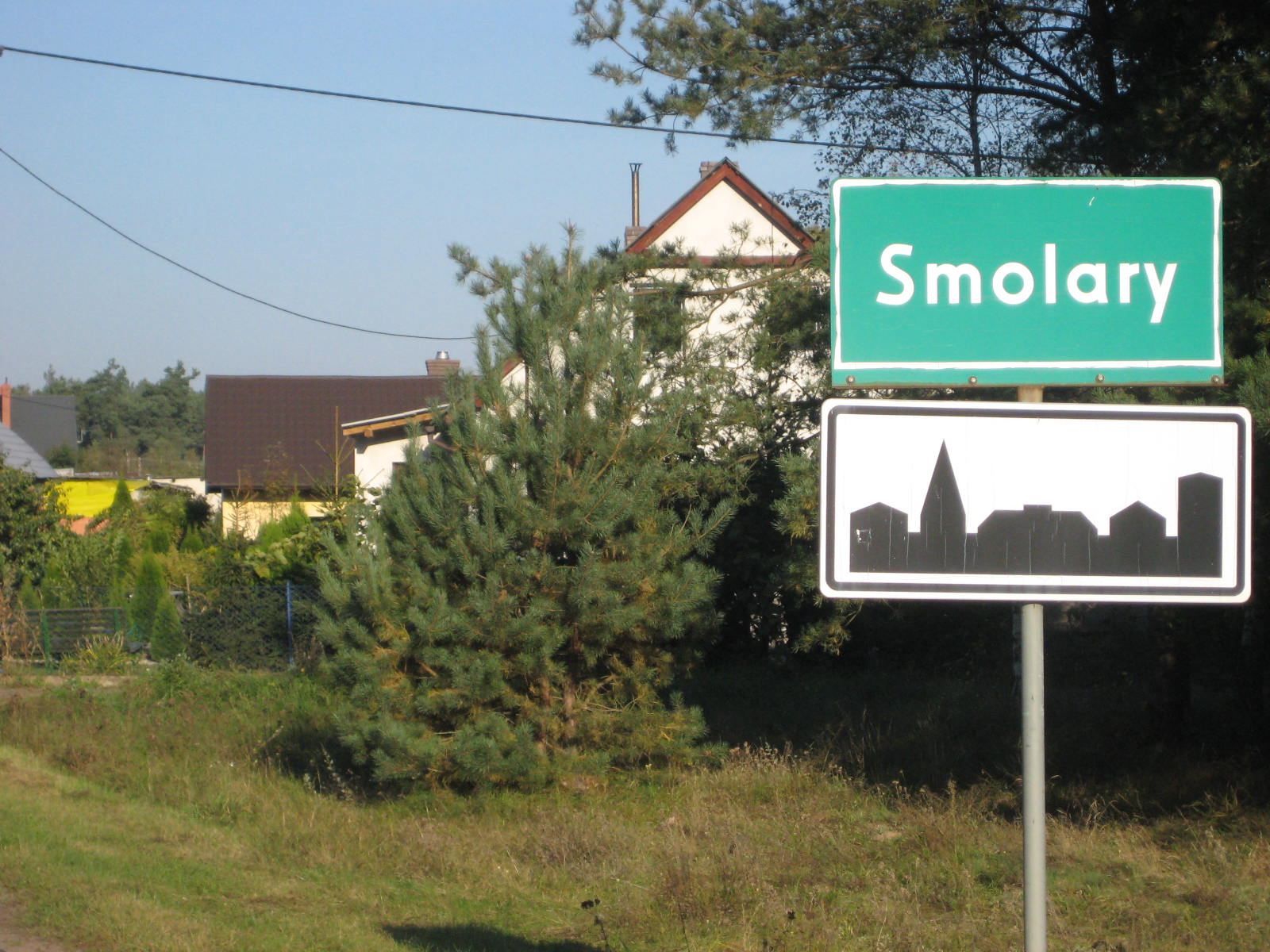 Smolary muchy - Rafał Muniak