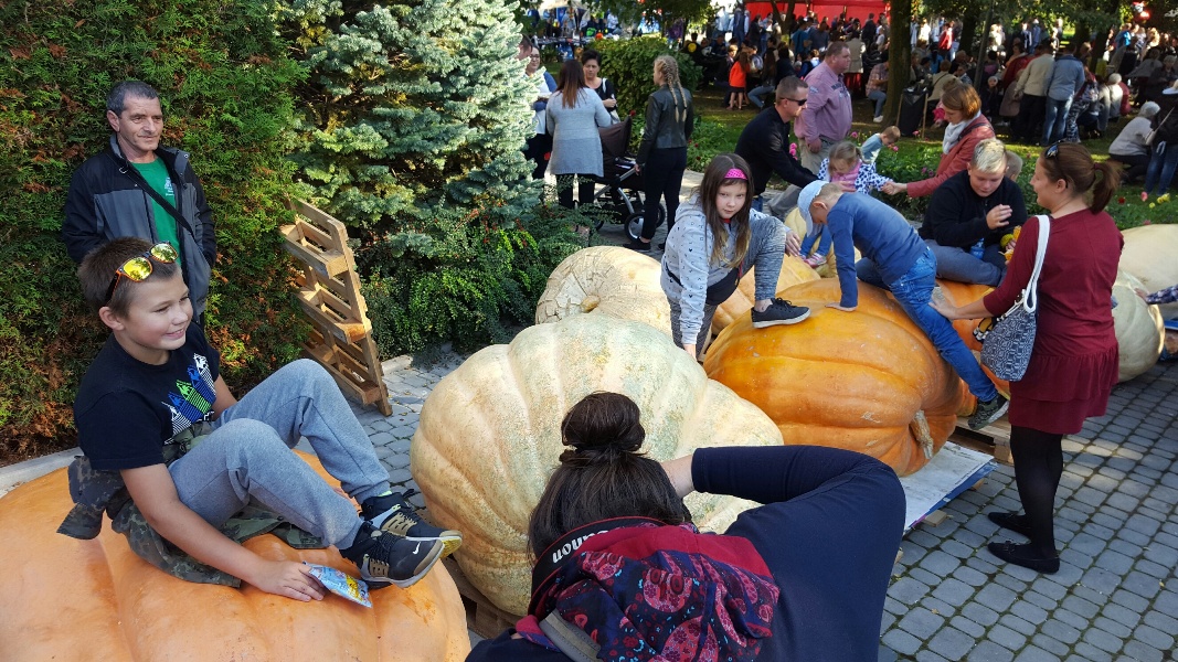 Dzień Korbola w Grzybnie dynia - Michał Jędrkowiak