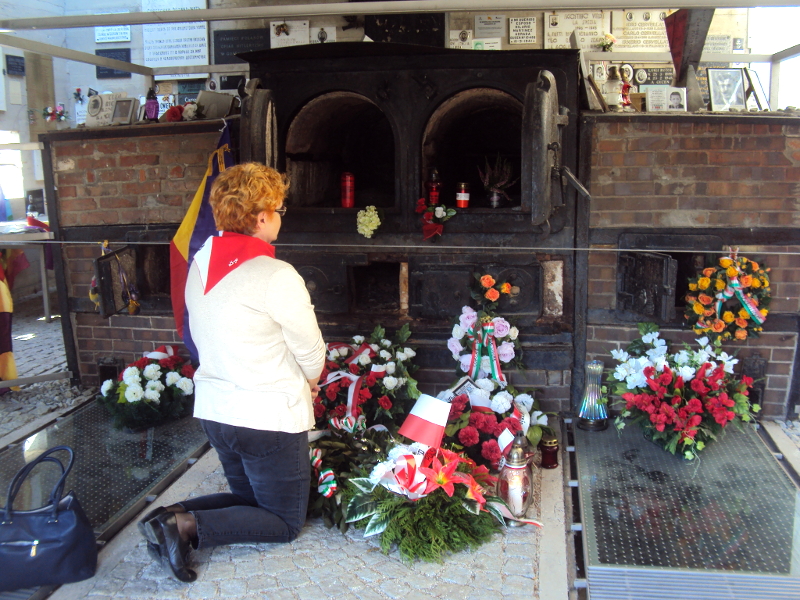 Zapal znicz pamięci Mauthausen 2017 - Tomasz Woźniak