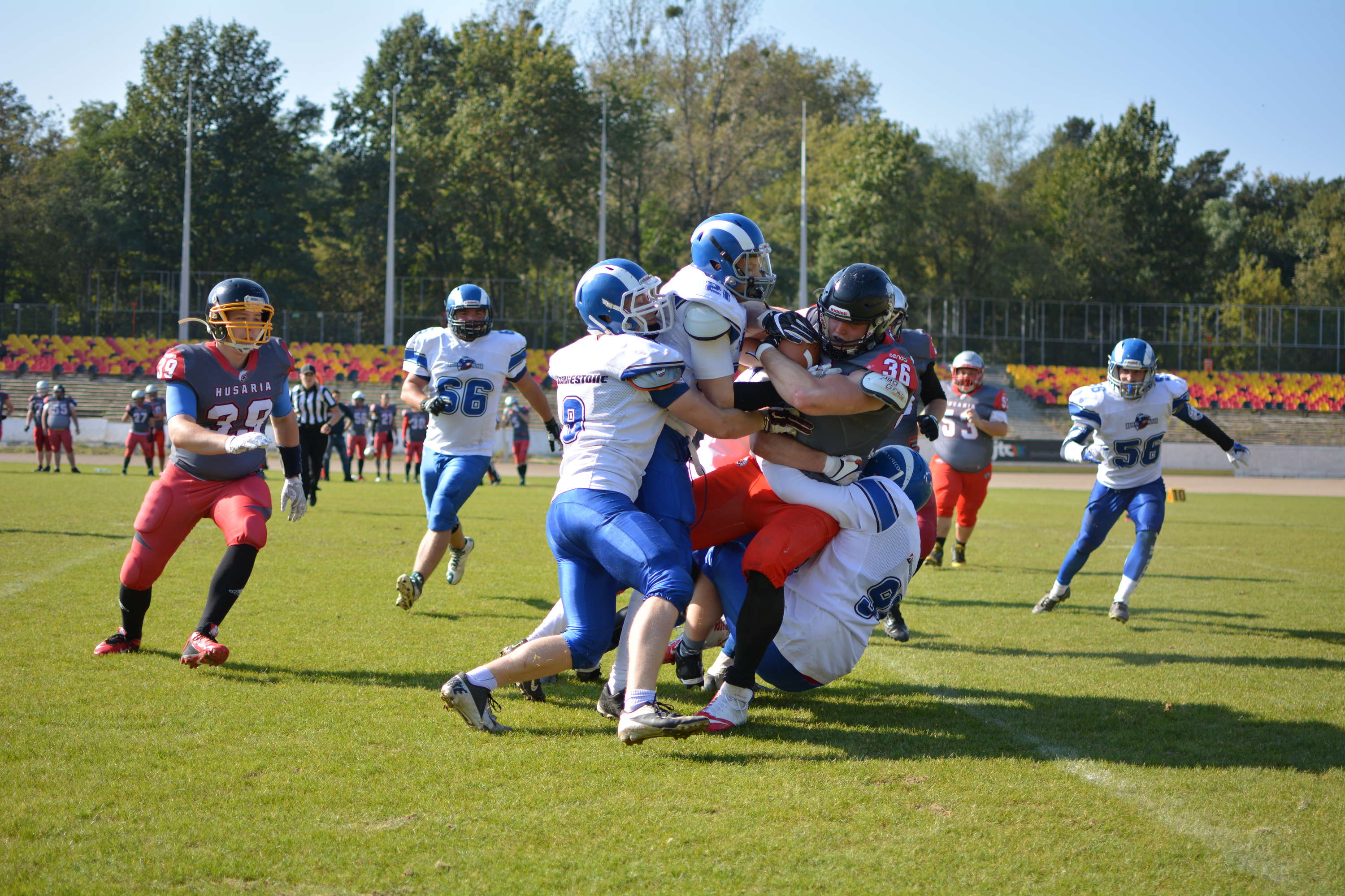kozły poznań futbol amerykański - Kozły Poznań