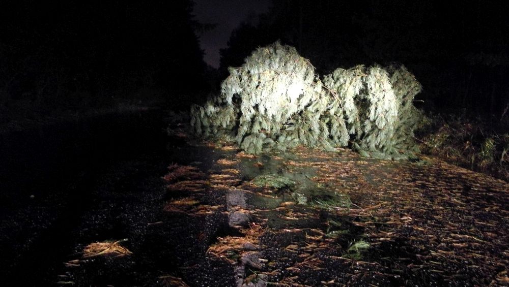 wichura - Grzegorz Ługawiak