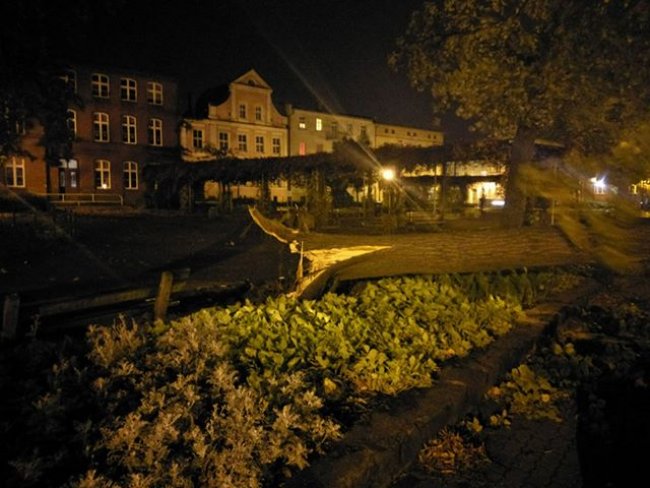 powalone drzewo burza orkan leszno - UM Leszno