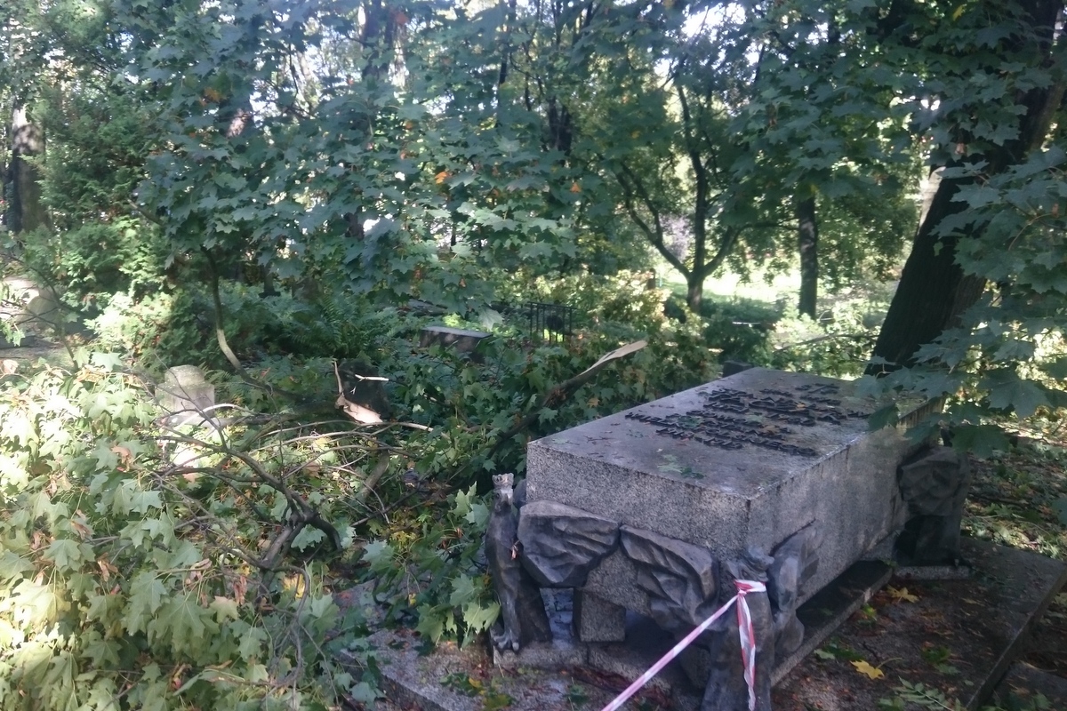 cmentarz drzewo zniszczony - Wojciech Chmielewski