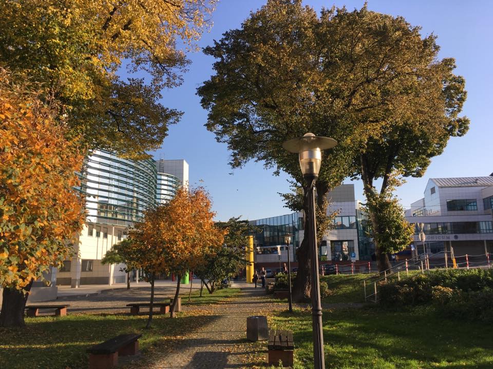 collegium polonicum Słubice - Collegium Polonicum w Słubicach