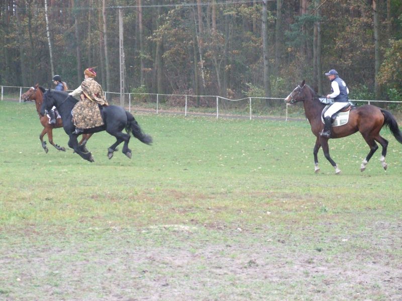  Aleksandra Braciszewska-Benkahla