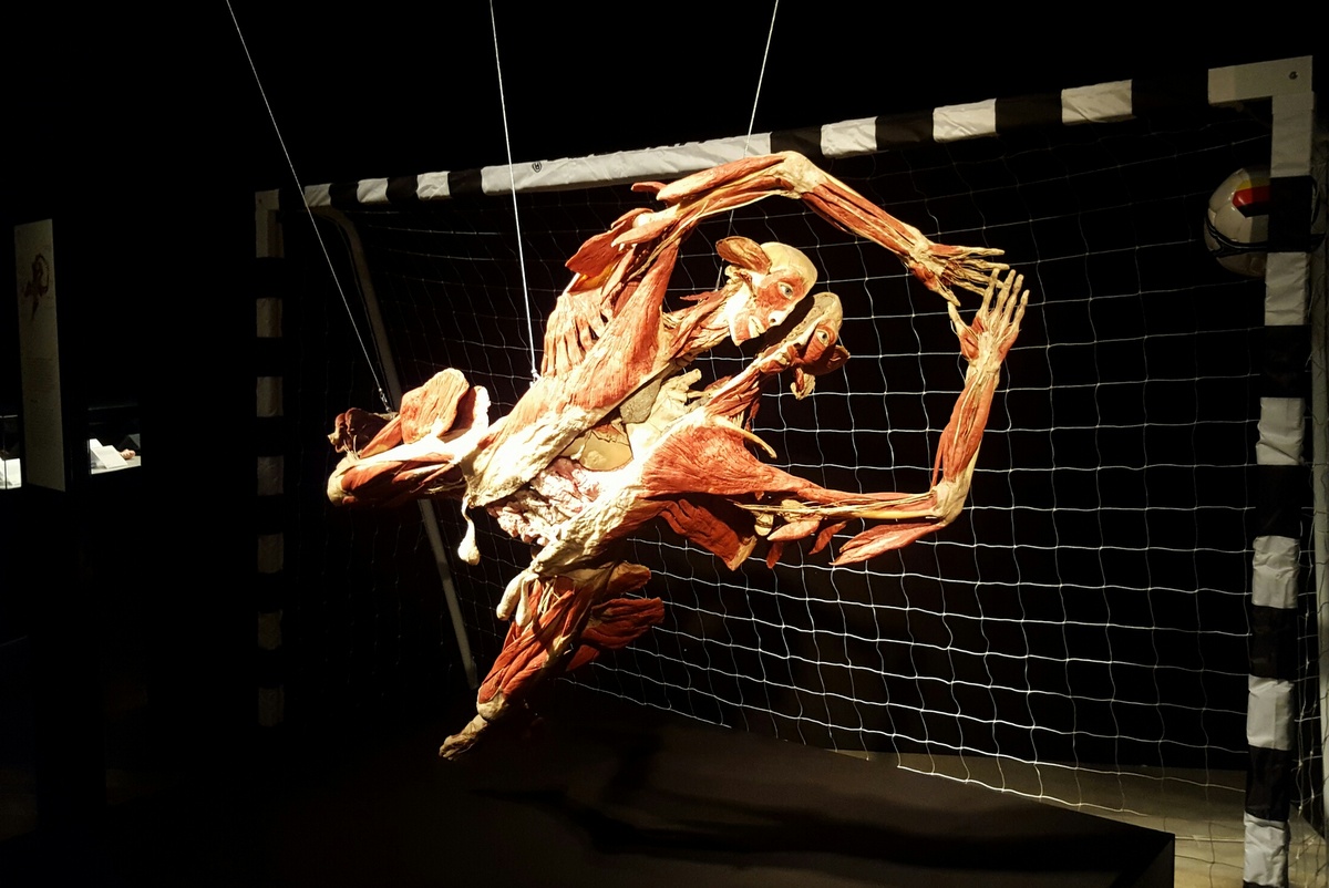 Wystawa ludzkich ciał w Pestce - Michał Jędrkowiak