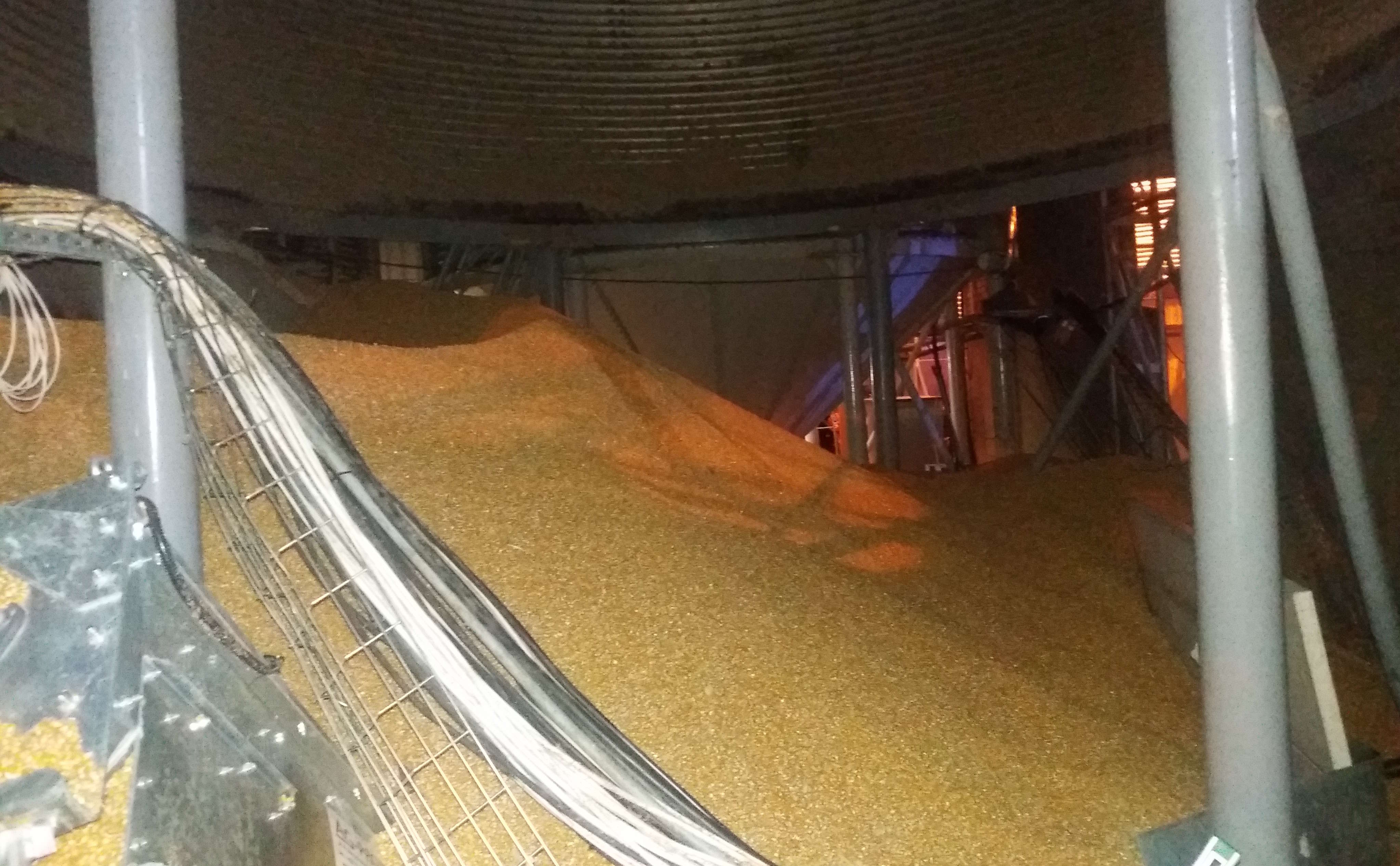 silos wonieść tragedia kukurydza chrum - KP PSP Kościan