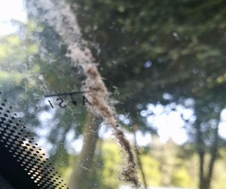 zanieczyszczone powietrze czarnków - Przemysław Stochaj