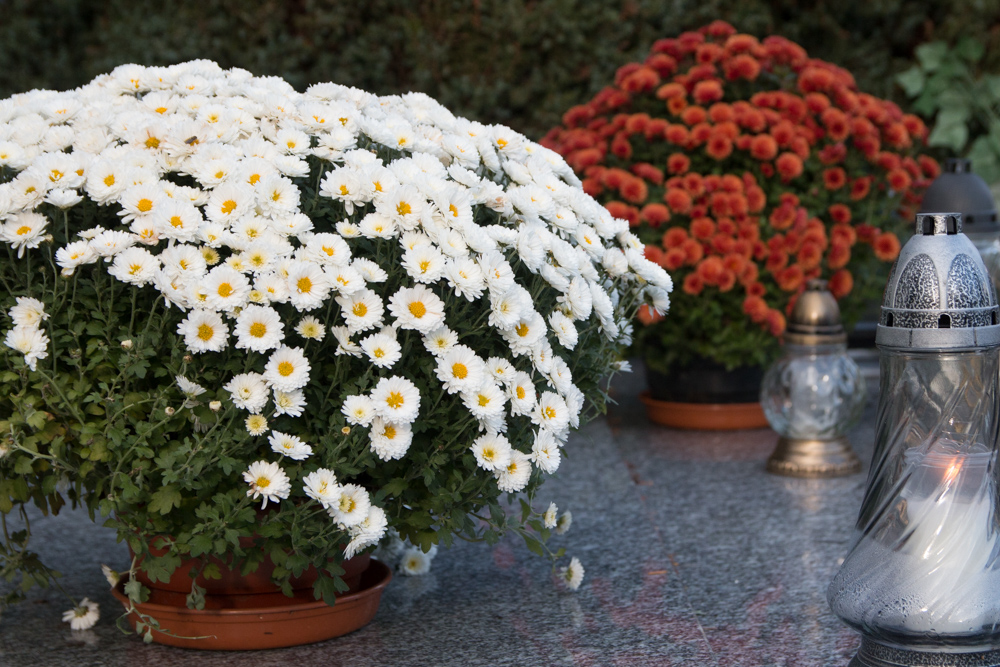 cmentarz 1 listopada wszystkich świętych zaduszki - Karolina Rej