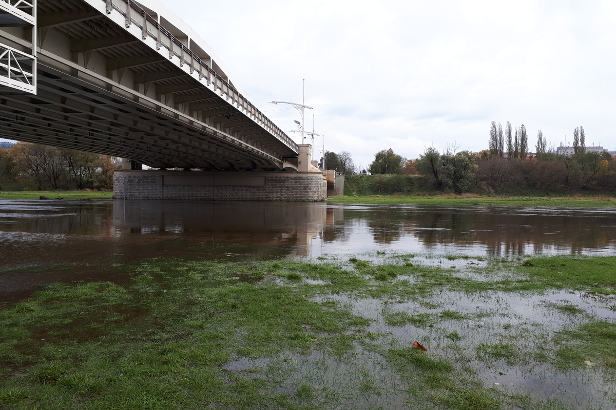 Wysoki poziom wody w Warcie - Karolina Rej