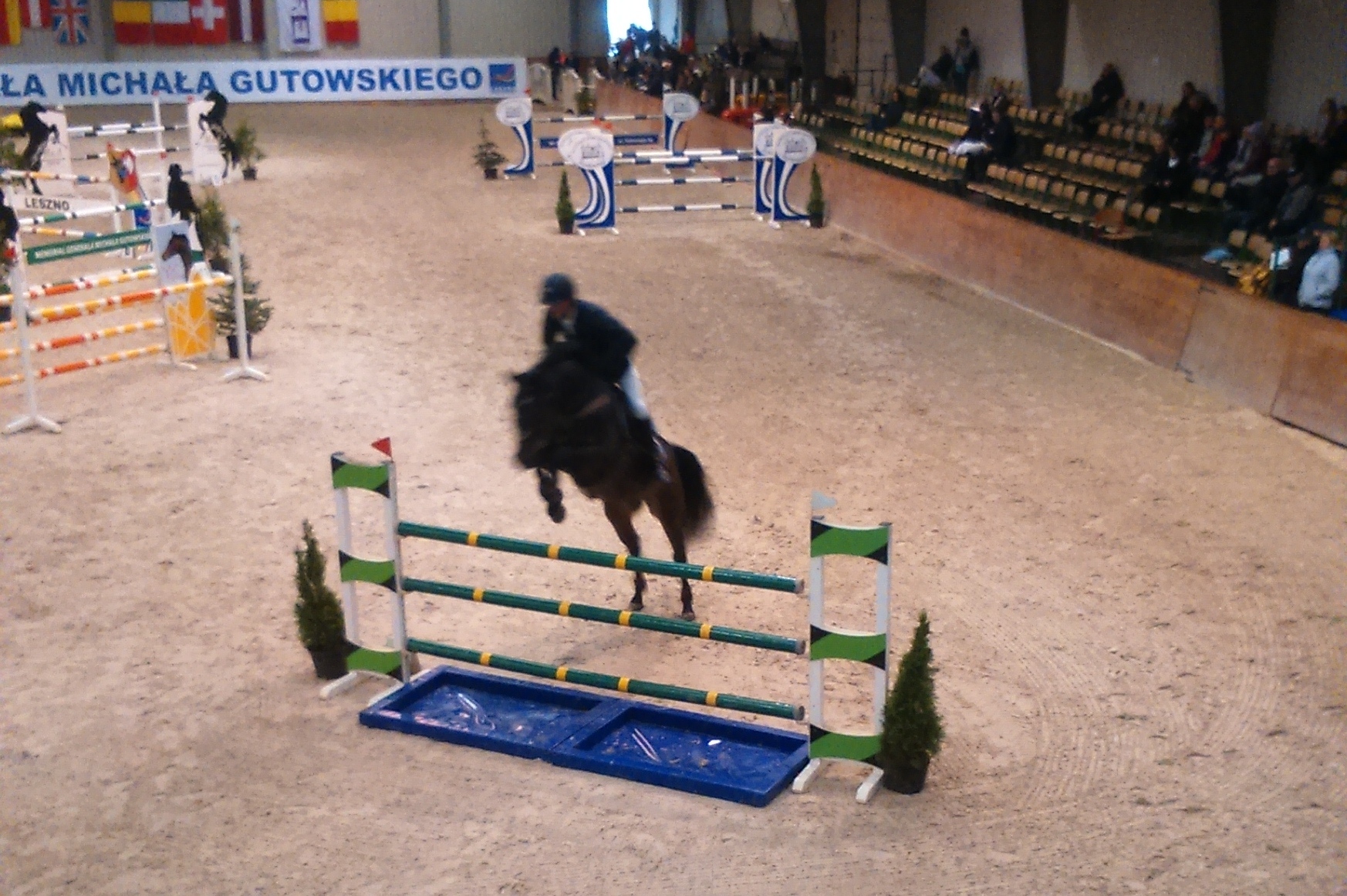 konie leszno miedzynarodowe zawody w skokach przez przeszkody - Jacek Marciniak