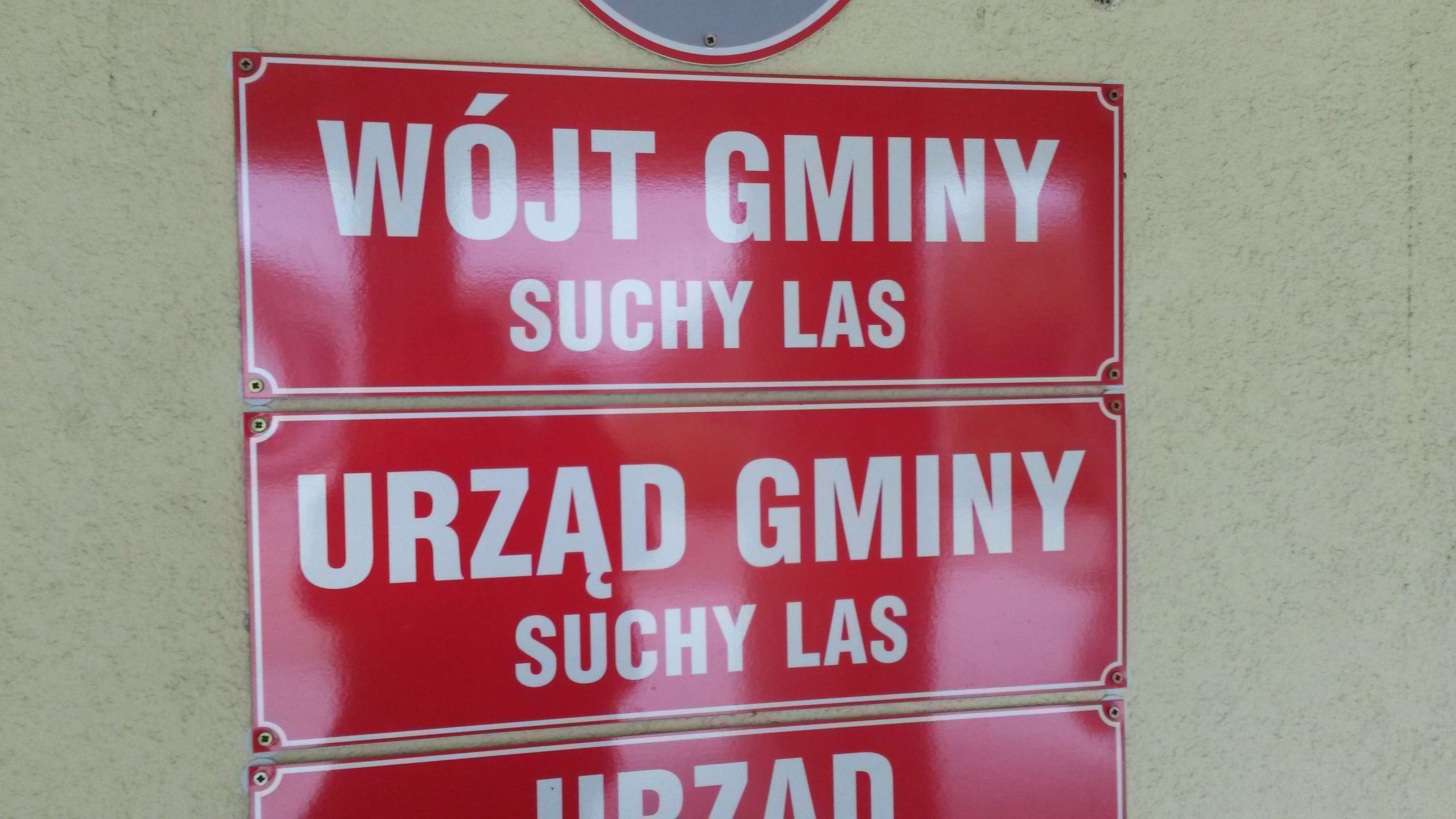 suchy las - Jacek Butlewski