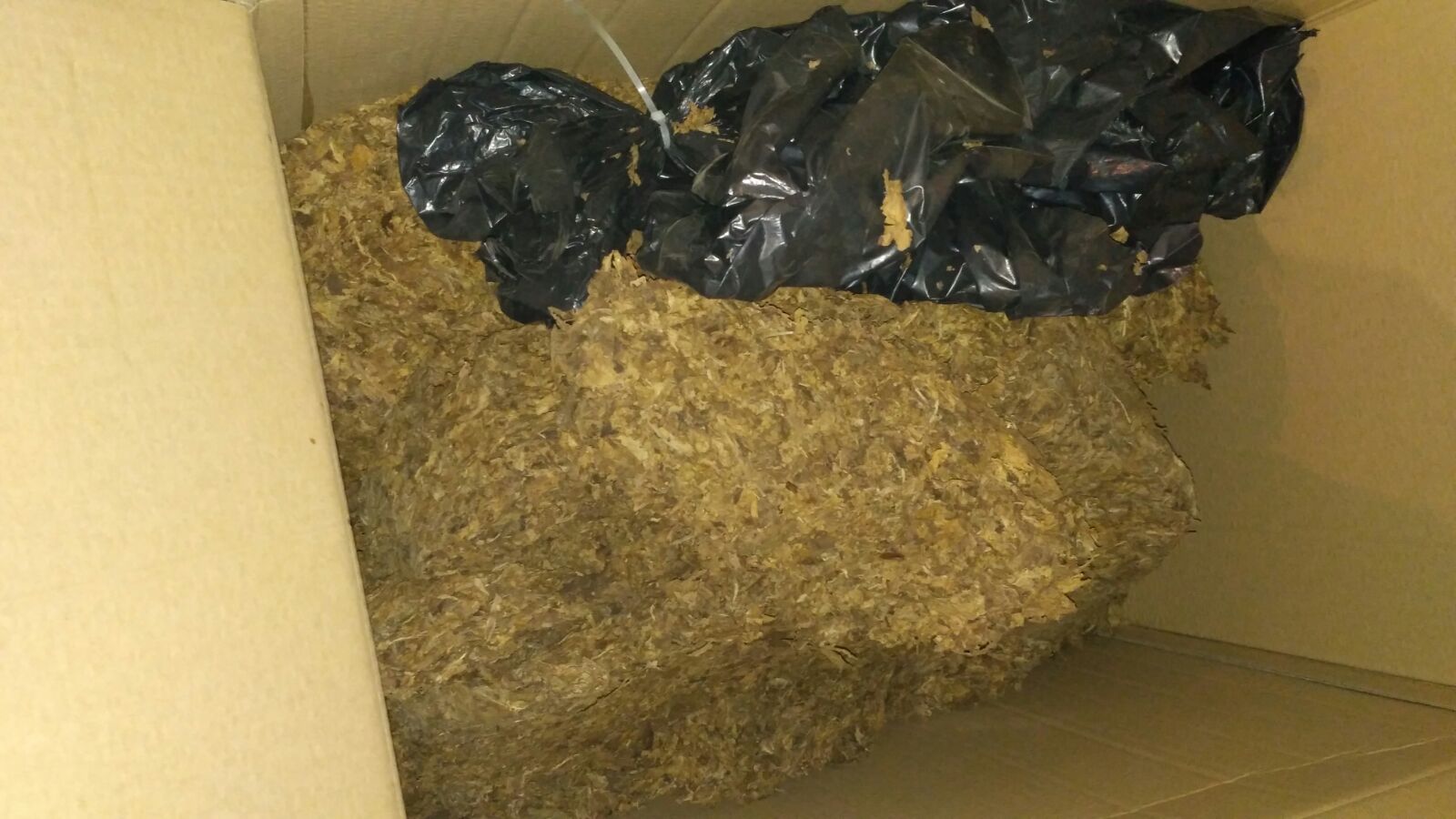 nielegalny tyton policja łeło łeło - Komenda Wielkopolska Policji