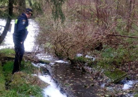 głuszyna piana - Straż Miejska w Poznaniu