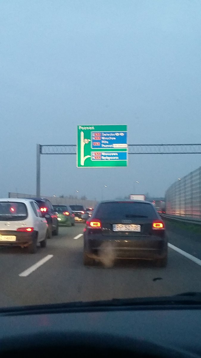 Maciej Krzywoszyński