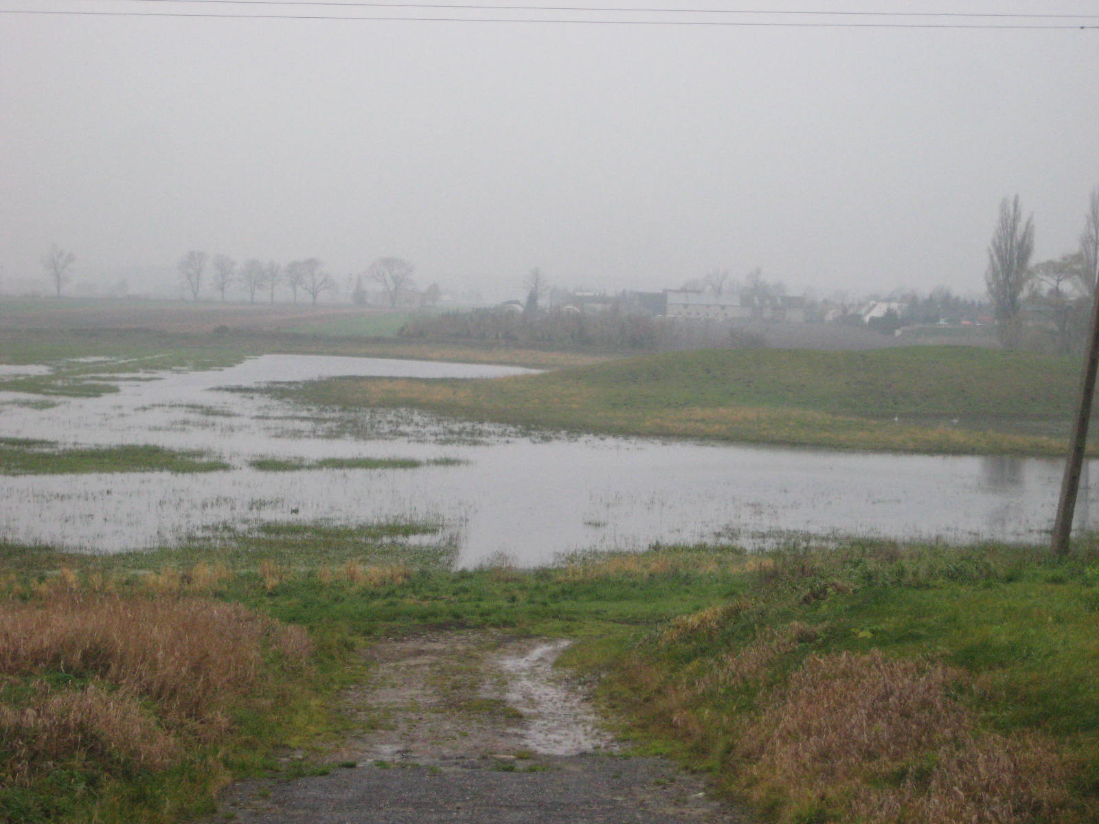 zalane czerniejewo - Rafał Muniak