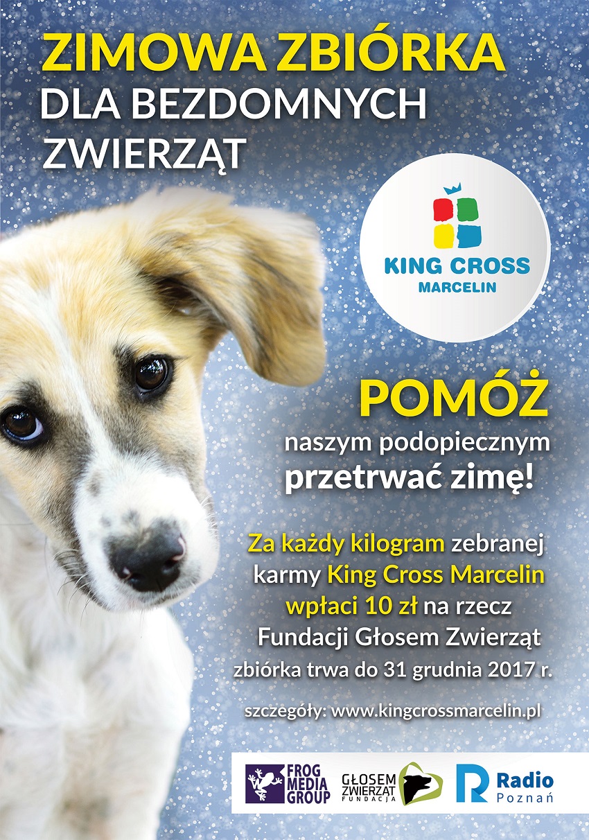 plakat_B1_na_www (4) - Materiały prasowe