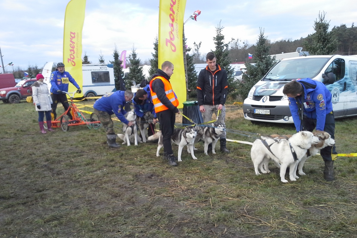 Mistrzostwa Świata Psich Zaprzęgów - Andrzej Ciborski