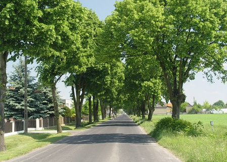 lipno - Urząd Gminy Lipno