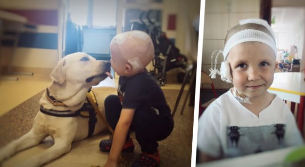 tymek walczy z rakiem - www.siepomaga.pl