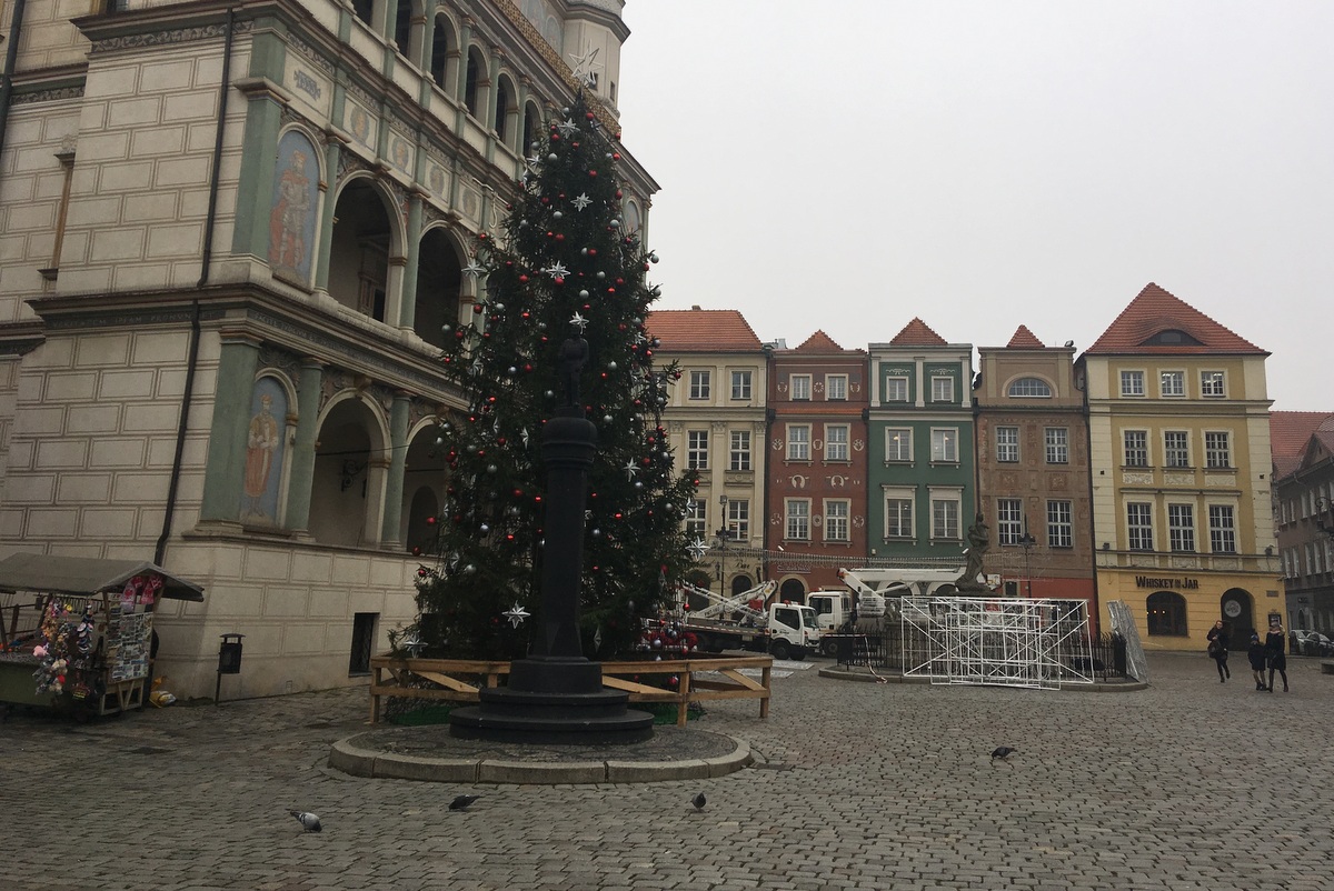 choinka na Starym Rynku - Adam Michalkiewicz