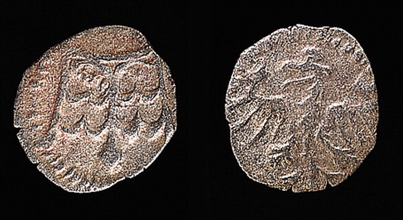 denar koronny - Encyklopedia PWN