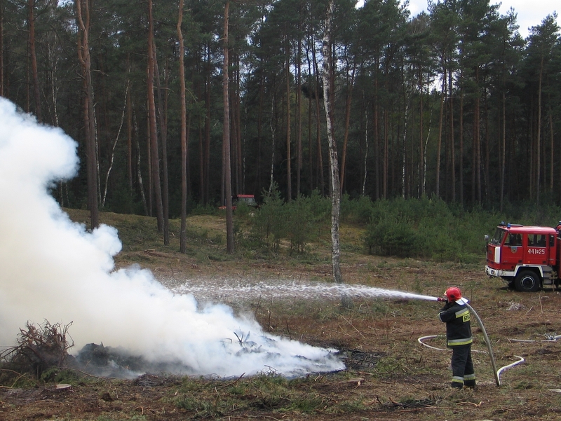 Pożar lasu - ćwiczenia - Krzysztof Sadowski