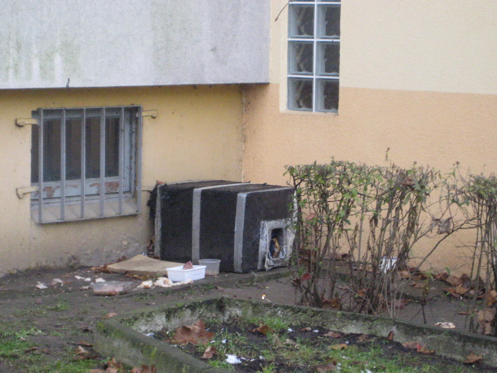 koci domek gniezno - Rafał Muniak