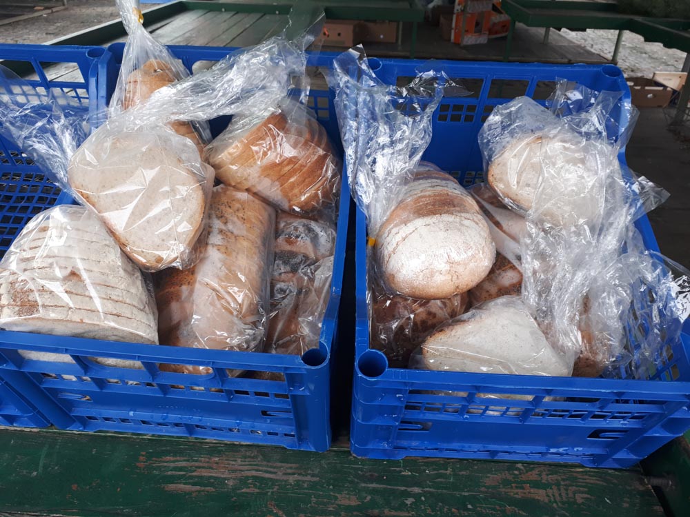 jadłodzielnia wildecka - Karolina Rej