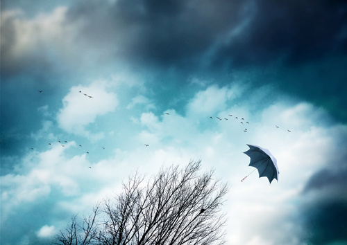 wichura wiatr parasol - Fotolia