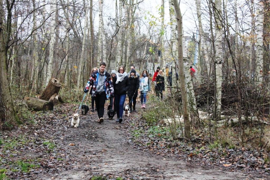 psy spacer schronisko - www.facebook.com/schronisko.dla.zwierzat.poznan/