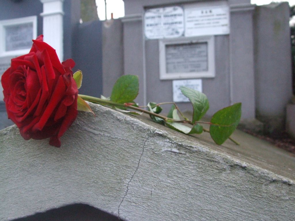 konin znicze grób zofia urbanowska - Aleksandra Braciszewska-Benkahla