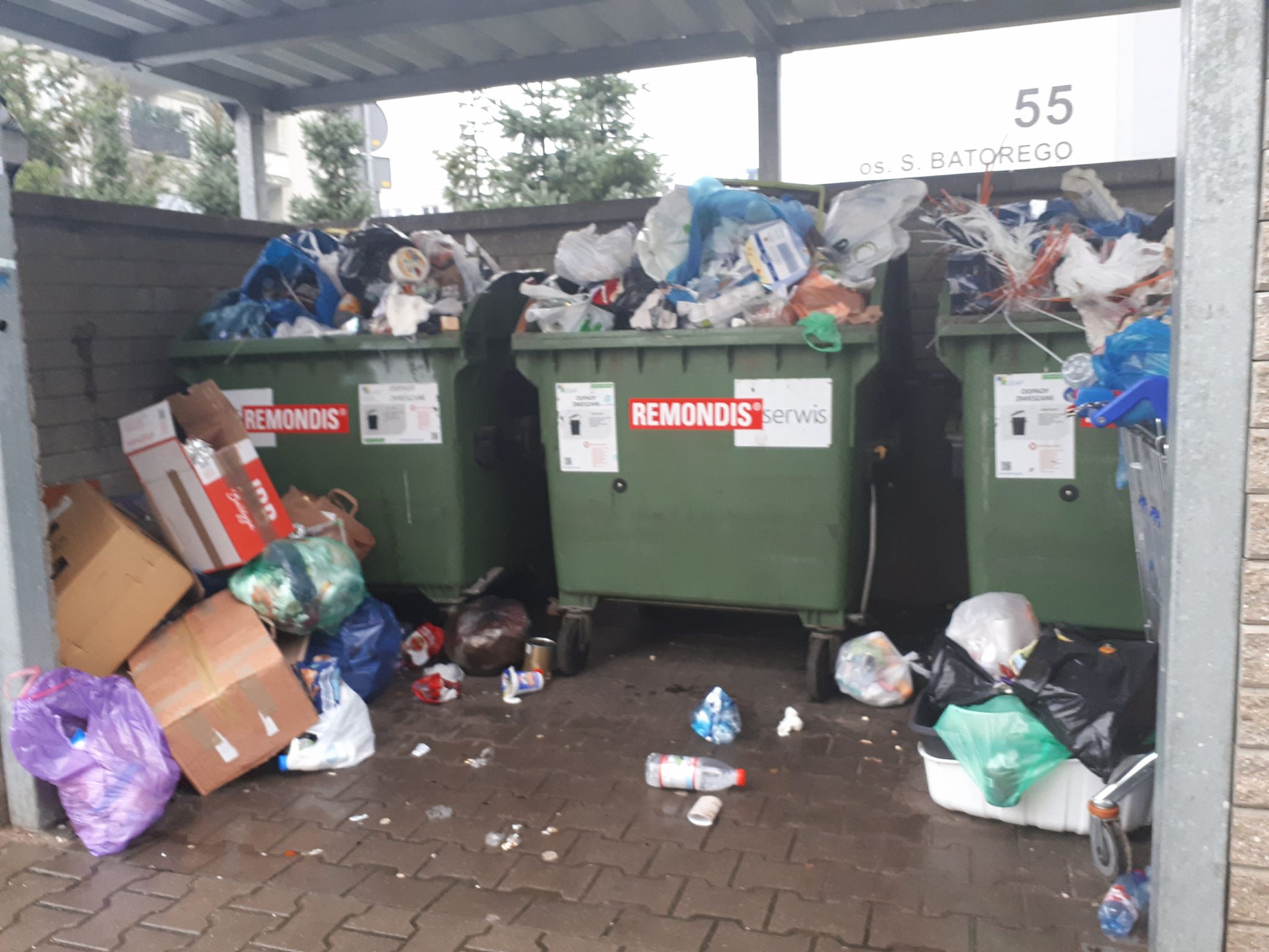 śmieci pojemniki syf bałagan - Karolina Rej