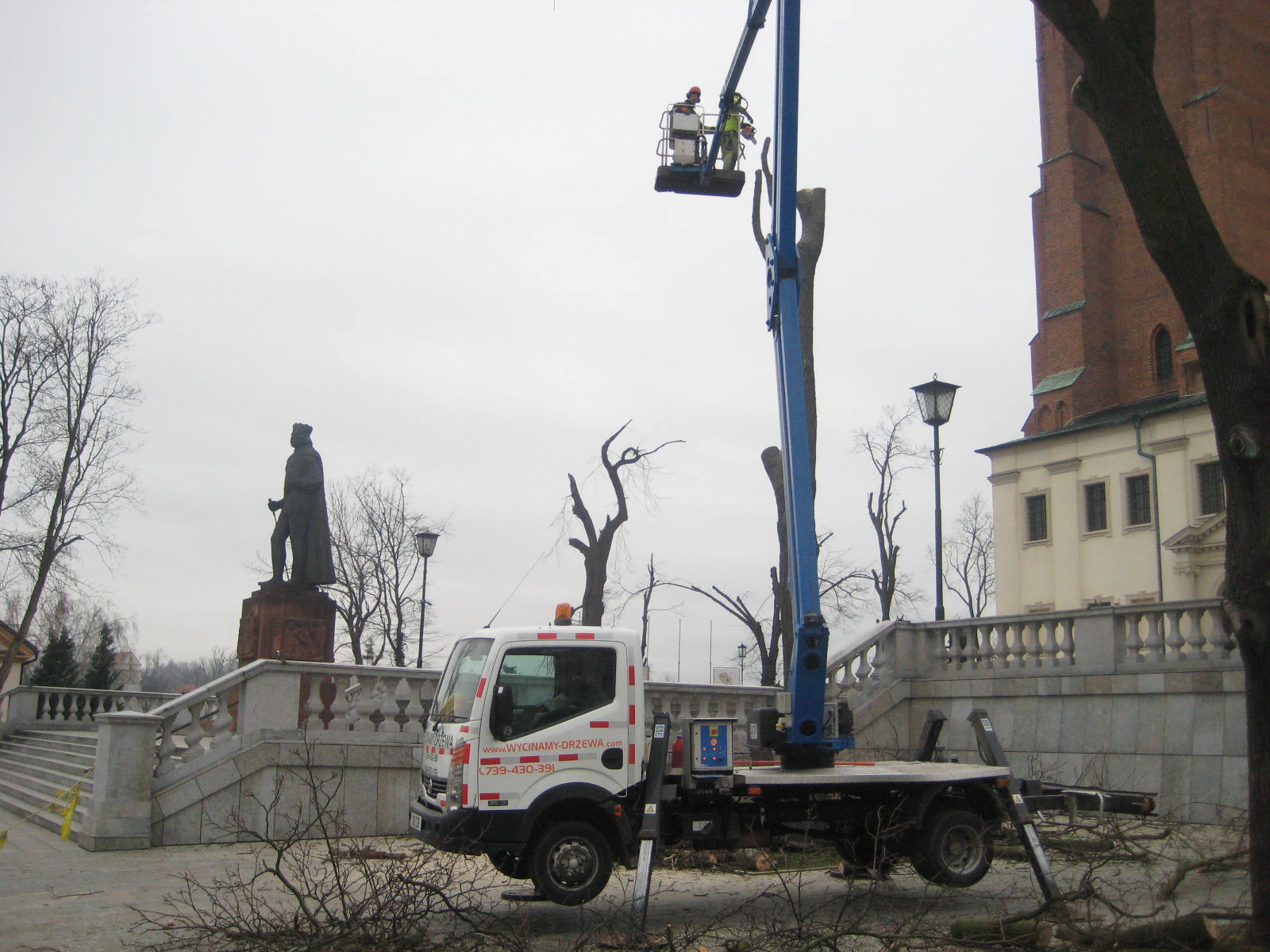 wycinka drzew Gniezno - Rafał Muniak