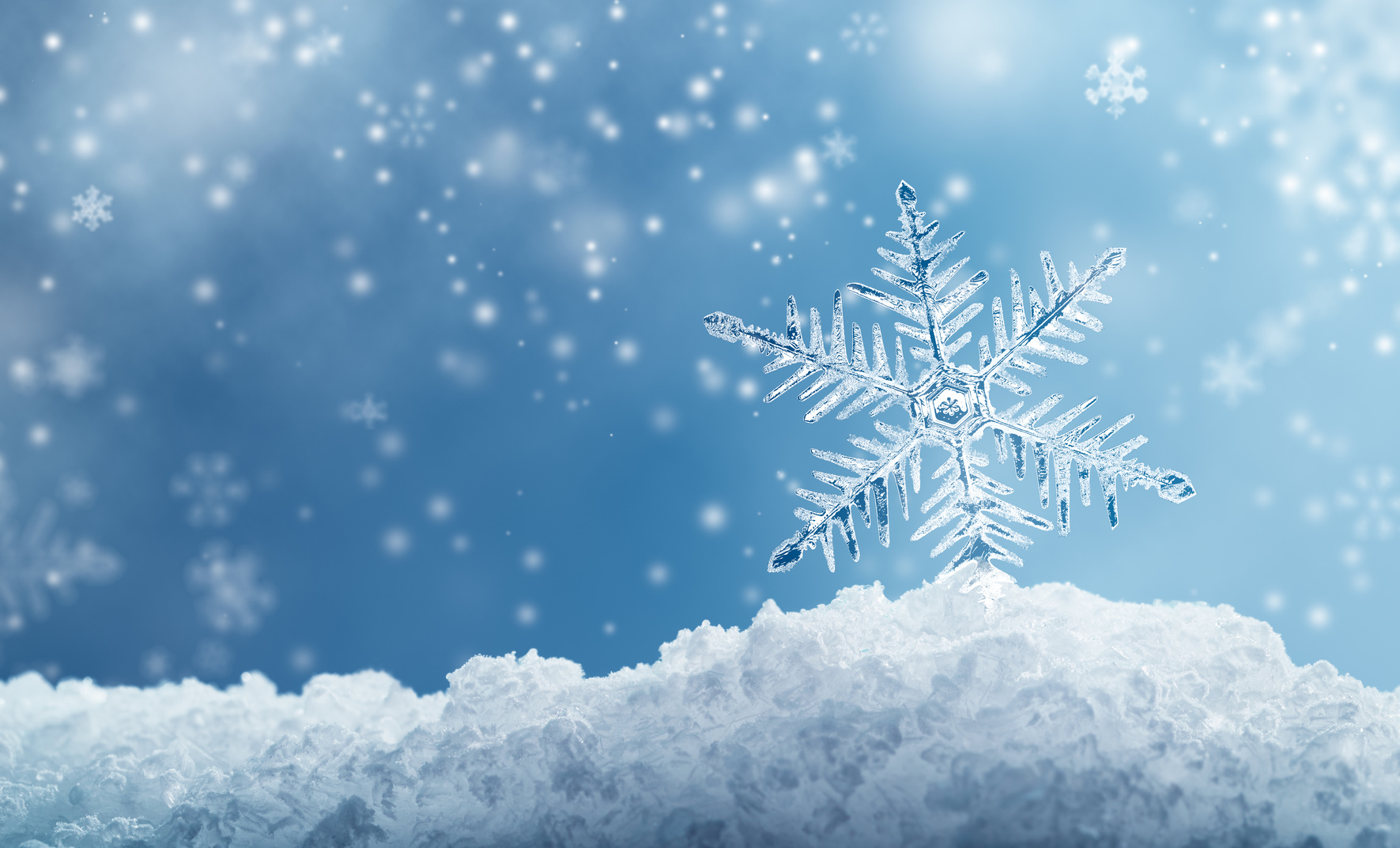 śnieg płatki śniegu zima - Fotolia