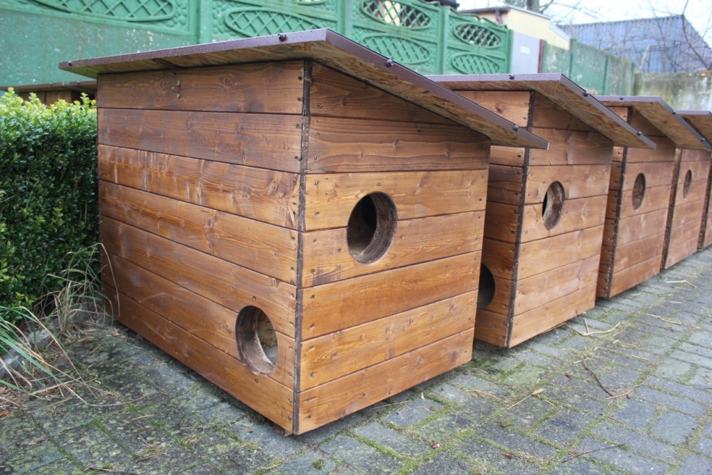 domki domek dla kotów - Małgorzata Lamperska