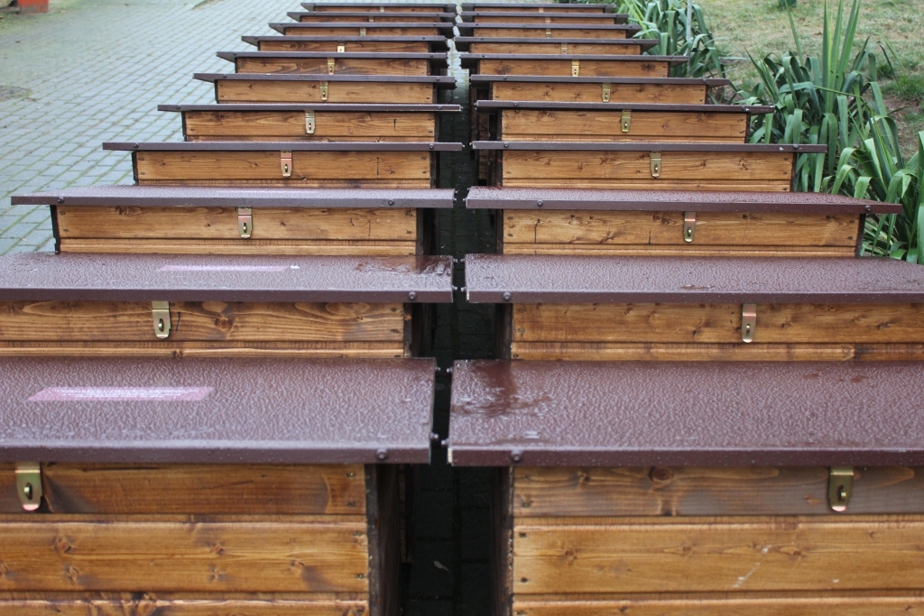 Małgorzata Lamperska