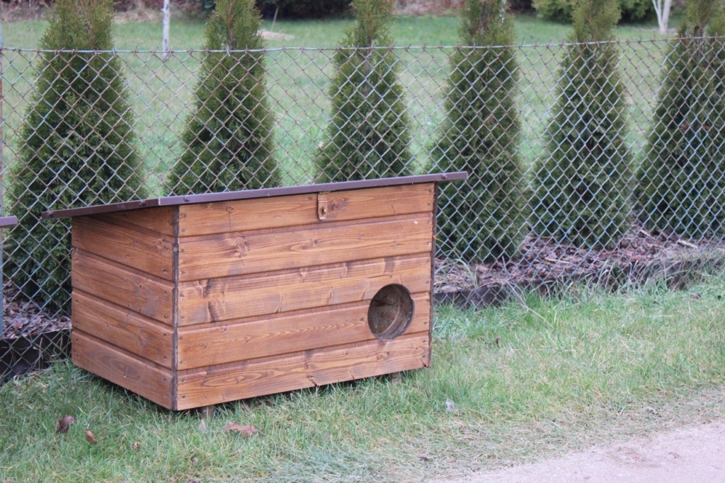 Małgorzata Lamperska