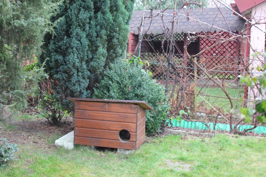 Małgorzata Lamperska