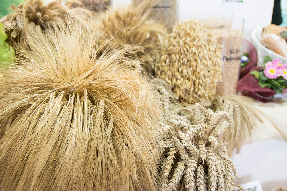 polagra 2018 - Karolina Rej