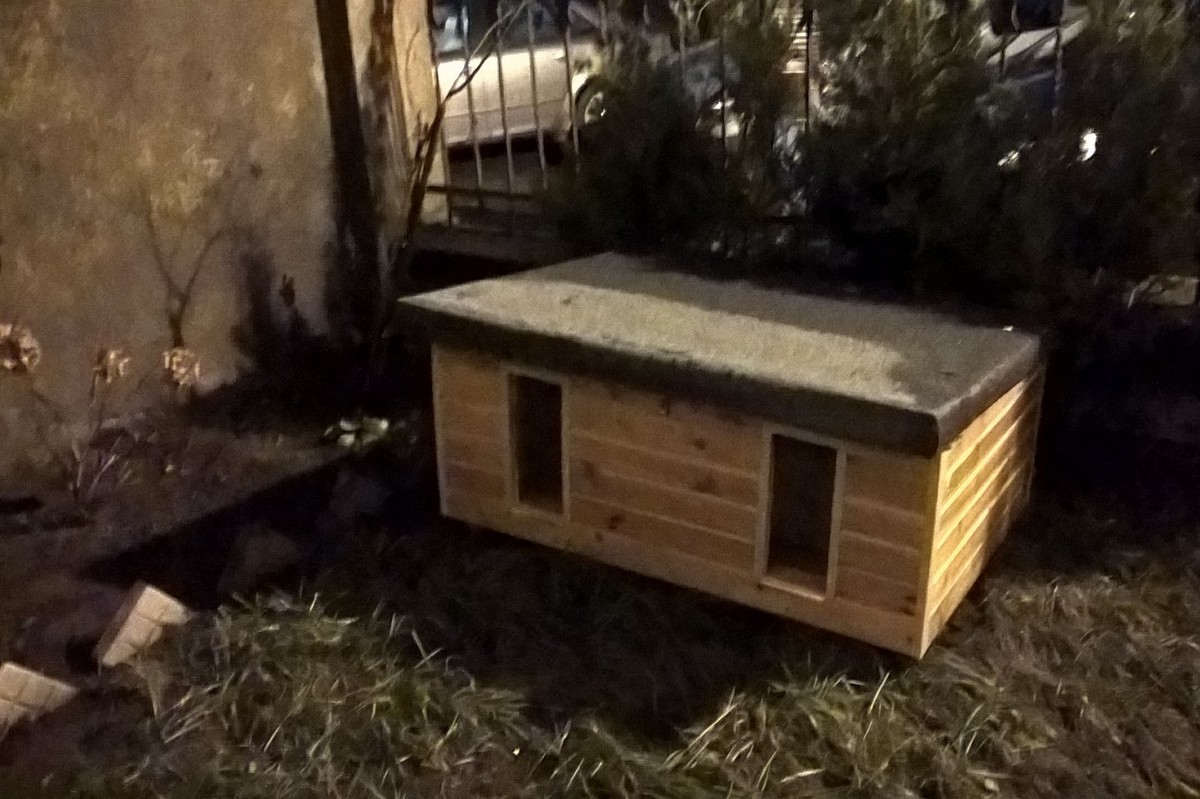 budki dla kotów Leszno - Wanda Nawrocka