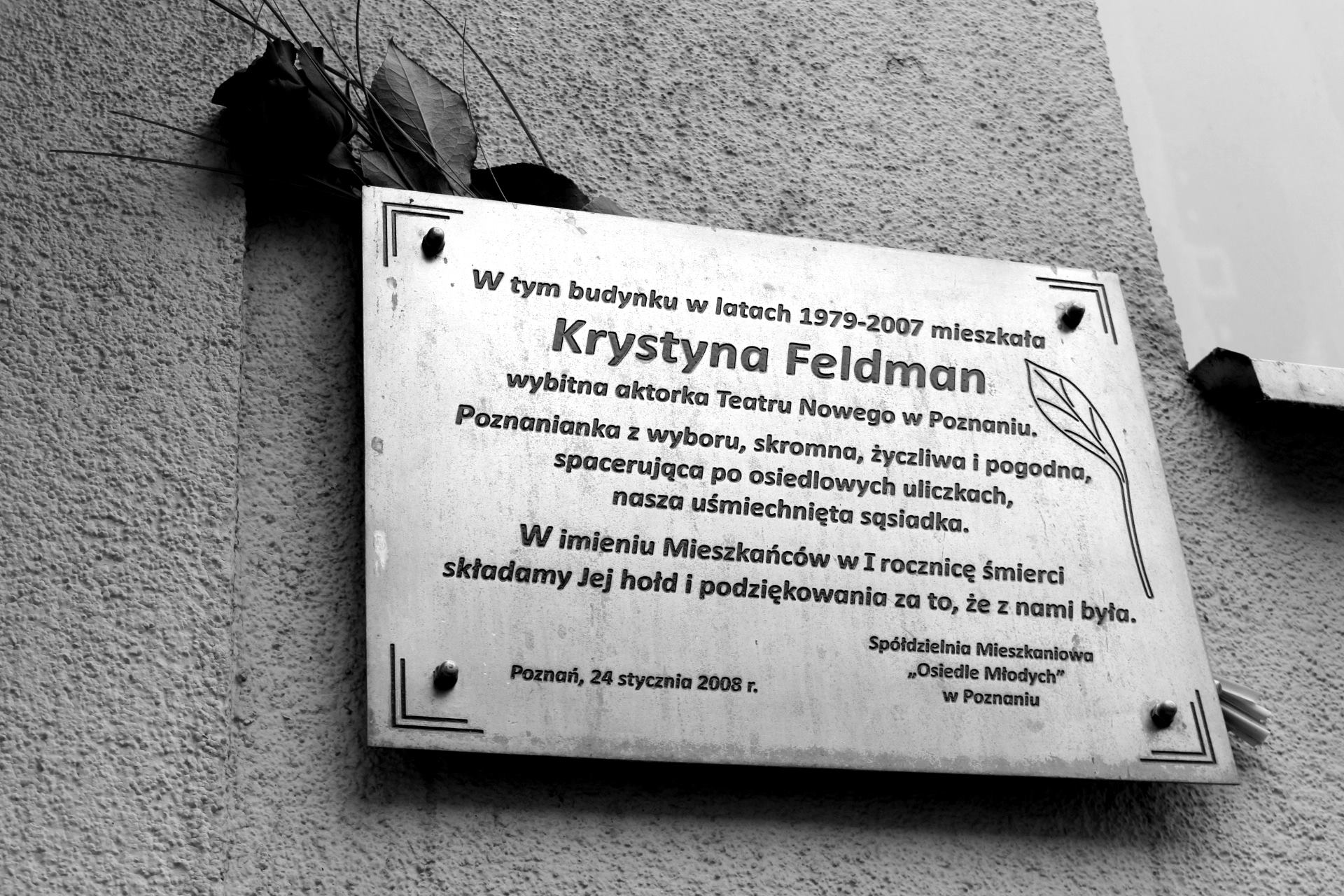 krystyna feldman rocznica śmierci spółdzielnia młodych - Spółdzielnia Mieszkaniowa "Osiedle Młodych" w Poznaniu